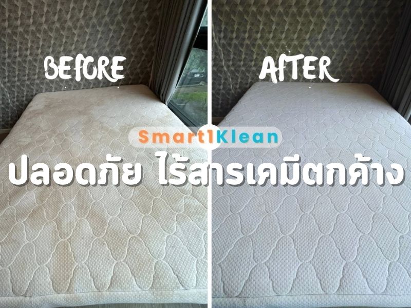 ปลอดภัย ไร้สารเคมีตกค้าง